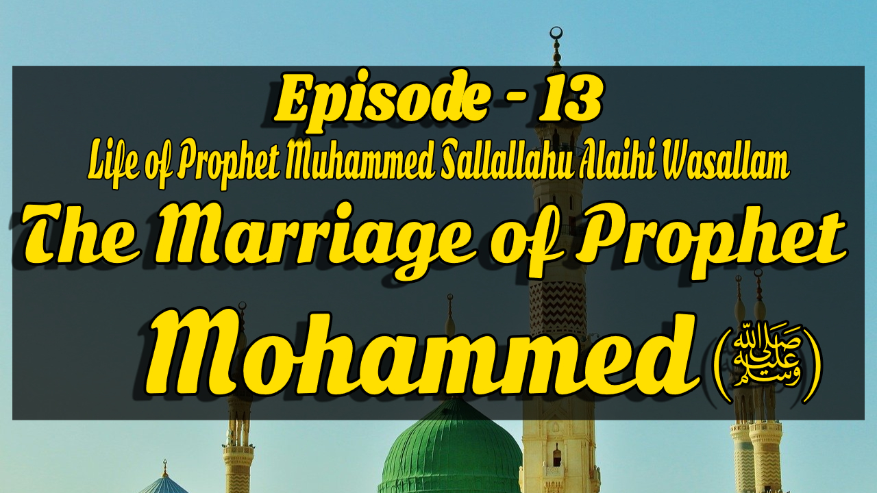 Seerat un Nabi For Kids Ep-13 The Marriage of Mohammed(ﷺ) By Muaz Asad - AL Majeed TV