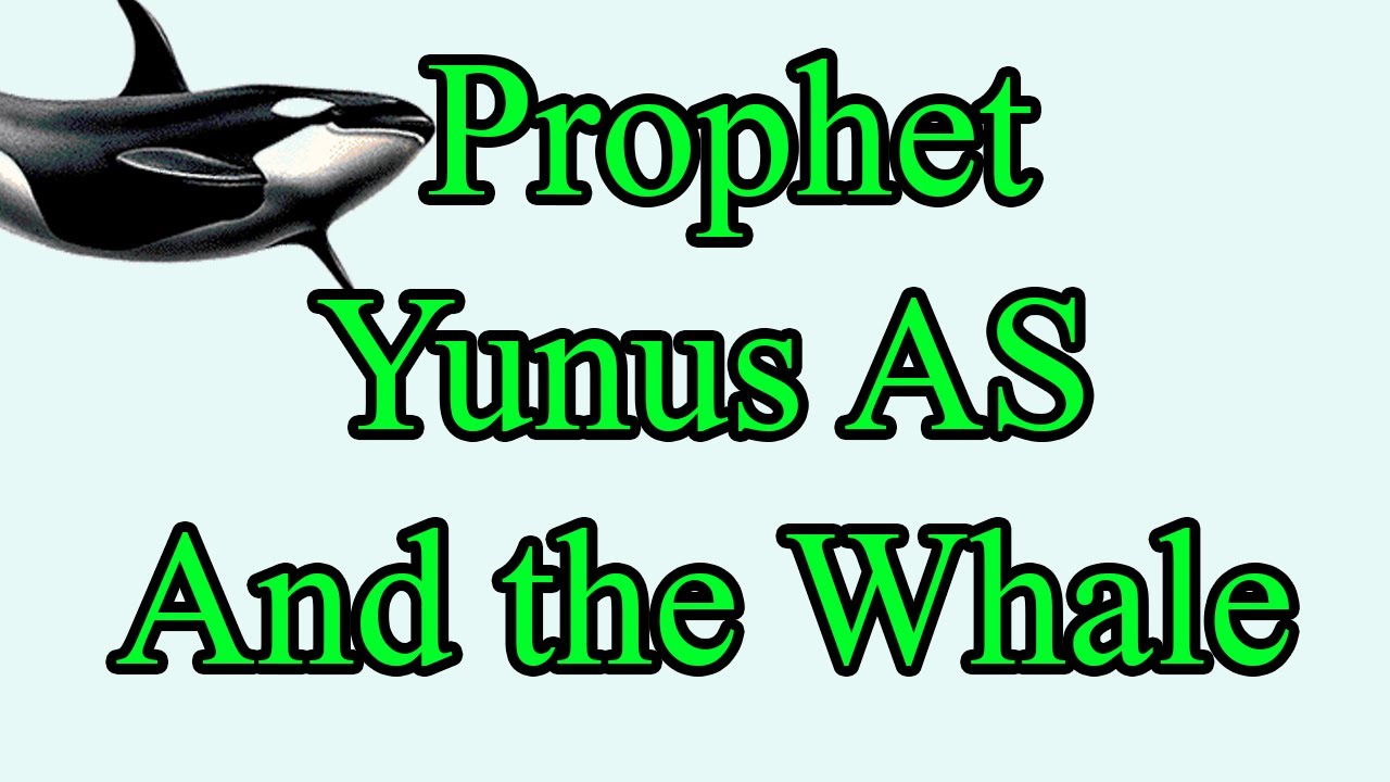 The Story of Prophet Yunus AS and Whale